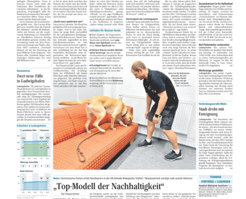 Bericht in Tageszeitung Rheinpfalz vom 19.08.20