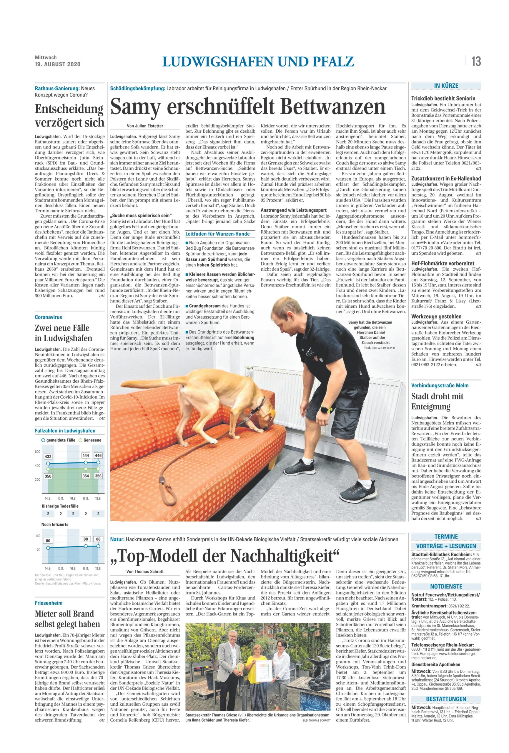 Bericht in Tageszeitung Rheinpfalz vom 19.08.20
