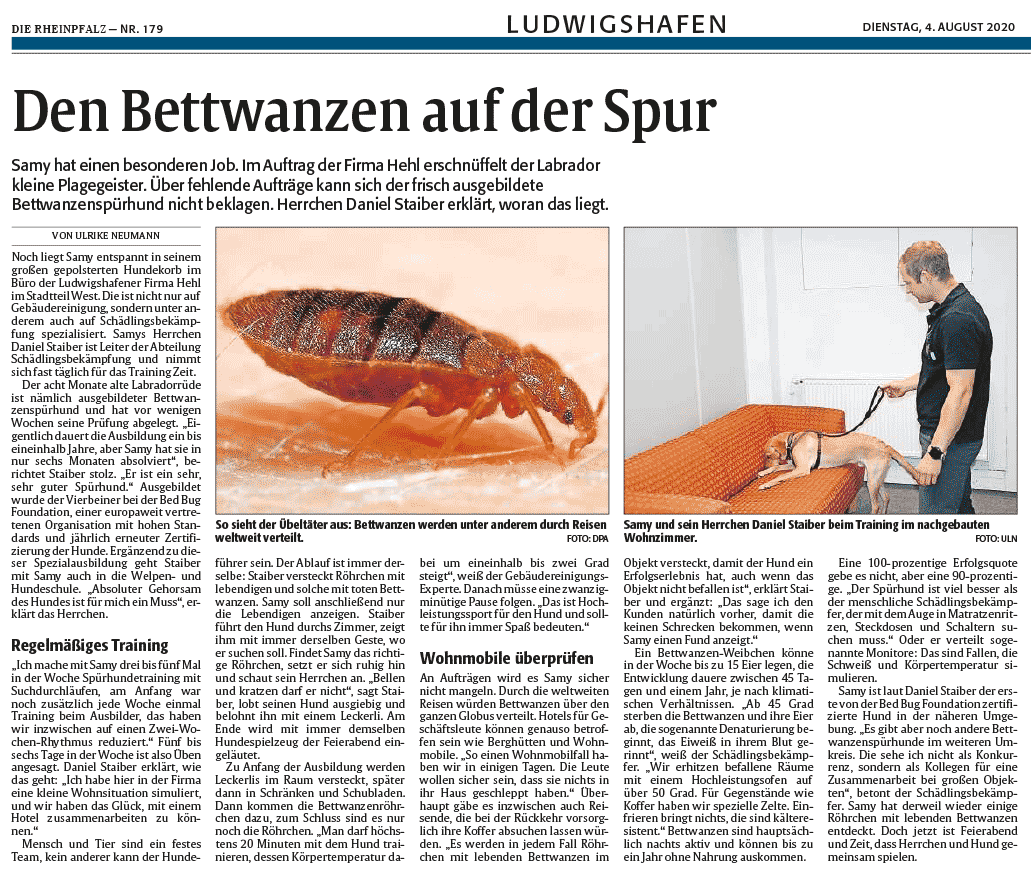 Pressebericht Rheinpfalz vom 04.08.2020