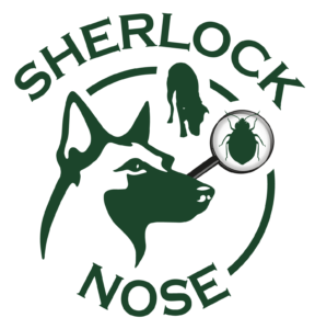 Bettwanzenspürhund Sherlock Nose
